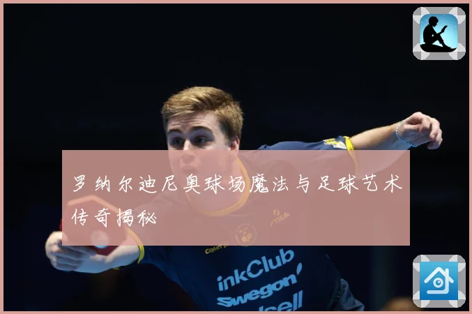 罗纳尔迪尼奥球场魔法与足球艺术传奇揭秘
