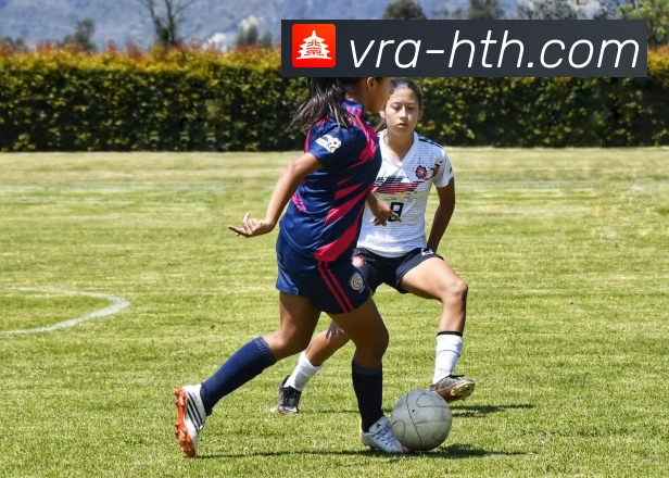 华体会足球投注平台分析与优势探讨如何提升投注体验和盈利机会